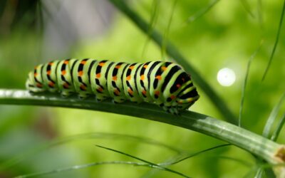 Doe jij nog wat je leuk vindt, of heb jij het ook zo druk? Dat kan beter!