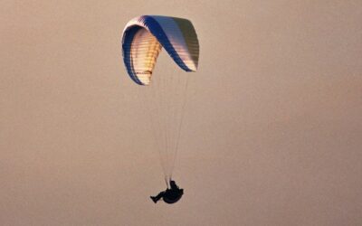 Opgeslokt door werk? Hoe jij meer tijd krijgt voor je bedrijf!